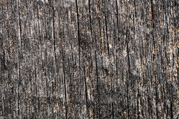 Obraz premium texture of an old charred wood. scorched surface. the background