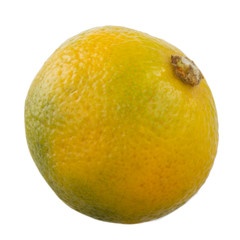 fresh orange  limequat isolated on white background