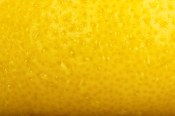 fresh rind of yellow lemon with water drops background design