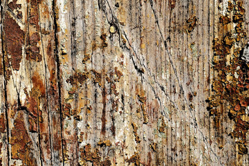 Old peeling paint on a wooden surface. retro wall background.