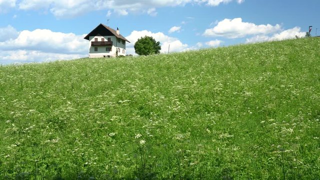 Idyllic mountain panorama near San Genesio. Bolzano, Trentino Alto Adige, Italy.