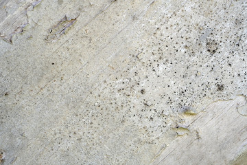 Old peeling paint on a wooden surface. retro wall background.