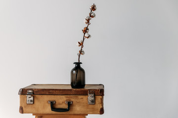 Minimalist design in Scandinavian style, concrete wall, dry cotton stands on brown suitcase