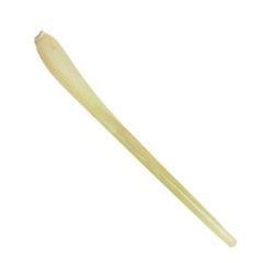 caulis of lemongrass isolated on white background