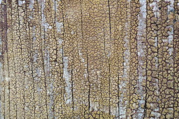 Obraz premium Old peeling paint on a wooden surface. retro wall background.