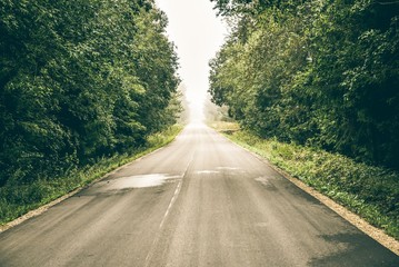 White fog over a long asphalt road that goes through the forest