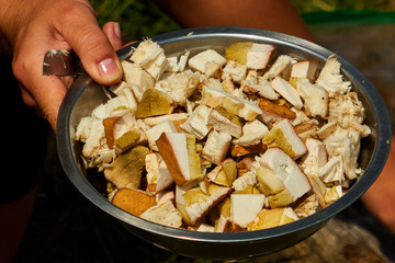 Woman holding a plate of sliced mushrooms in the campsite