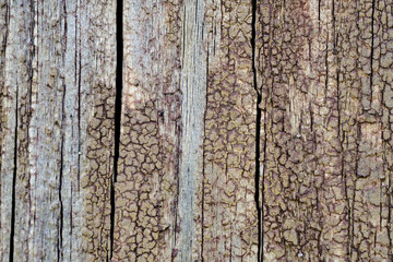 Old peeling paint on a wooden surface. retro wall background.