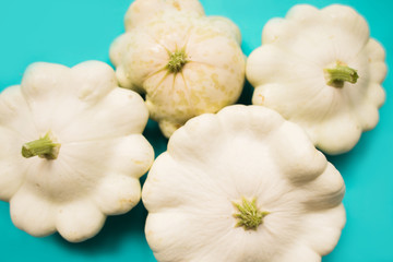 fresh white Pattisons on a blue background