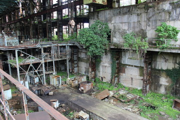 Jungle in an abandoned factory.