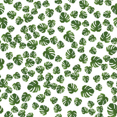 Beautiful seamless pattern with monstera. Monstera for decorative design. Green natural plant. Jungle foliage illustration. White background. Summer beach floral print. Jungle floral illustration.
