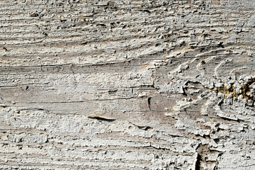 Old peeling paint on a wooden surface. retro wall background.