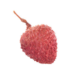 single lychee isolated on white background