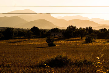 SONY DSC © SimonQbala