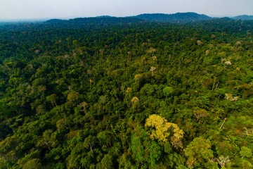 Amazon Rainforest inside the Menkragnoti Indigenous Land - Pará, Brazil