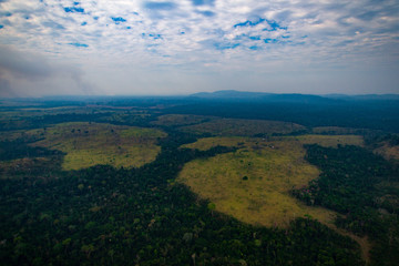 Pasture areas derived from illegal deforestation near the Menkragnoti Indigenous Land. Pará - Brazil