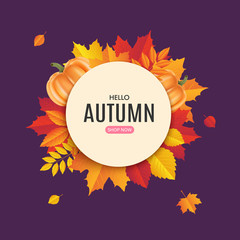 Fall sale banner design. Autumn sale sticker template. Promo badge. Abstract geometric background with colorful falling leaves. Fallen foliage backdrop. Vector illustration