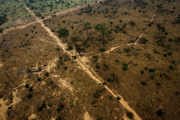 Roads and Pasture areas derived from illegal deforestation near the Menkragnoti Indigenous Land. Pará - Brazil