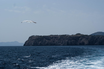 SONY DSC