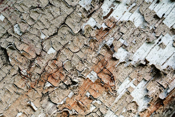 Old peeling paint on a wooden surface. retro wall background.