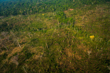 Pasture areas derived from illegal deforestation near the Menkragnoti Indigenous Land. Pará - Brazil