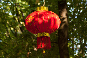 Obraz premium SONY DSC