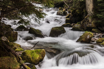 SONY DSC © SimonQbala