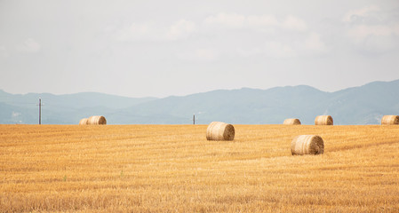 Obraz premium Straw bales, haystack on a field after summer harvest
