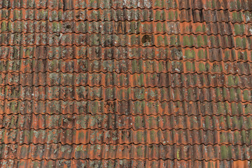 Old tile roof at a Old smithy from 1700s in the municipality Österbybruk north of Stockholm and Uppsala