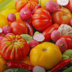 heap of different vegetables  background