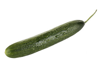 single  fresh cucumber isolated on white background