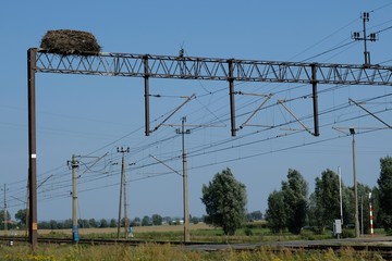 Stork nest on electric traction at the railway station, Poland, Zulawy (Marshland)