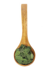 oregano leaves in wooden spoon isolated on white background