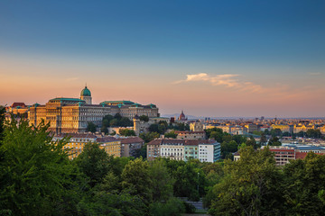 Fototapeta na wymiar Budapest, Hungary - Buda Castle Royal Palace with a golden sunset and green trees of Buda at summertime with clear blue sky