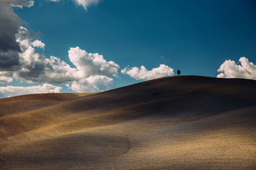 Rolling hills in autumn at harvest.