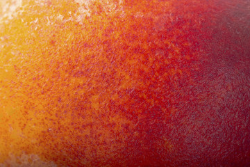 fresh orange red peach background