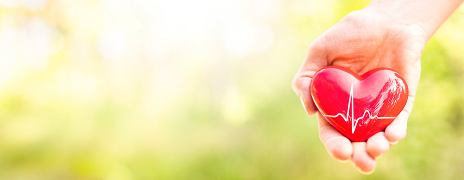 The woman is holding a red heart.