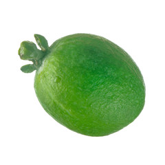 fresh feijoa isolated on white background