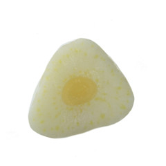  slice of garlic isolated on white background