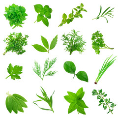 set of herbs and leaves isolated on white background