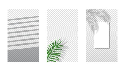 Vector set of different shadows overlay on transparent background. Shadows of palm leaf, jalousie or louvers and tropical leaves on sheet of paper. Abstract background with copy space for text, offer.