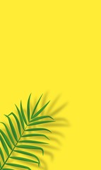 Vector template with palm leaf shadow overlay on modern yellow background. Trendy mockup with tropical leaf shadow. Abstract color background with copy space for text, offers, sale, advertising.