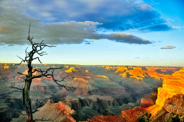 The Grand Canyon at Sunset