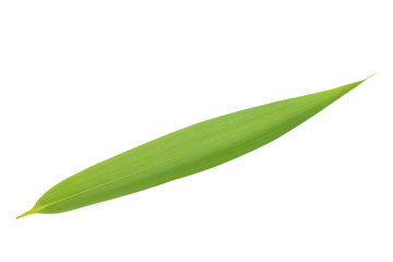 bamboo leaf