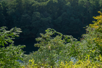 Fototapeta na wymiar View on the lake Dornheckensee on a hot summer day.