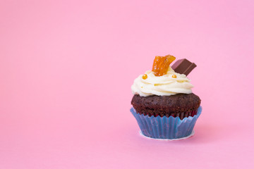 One delicious cupcake on a pink background. White air cream cake decorated with chocolate and candied fruit. Cupcake in a blue paper cup. The concept of holiday and birthday.