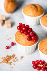 Homemade muffins in white paper cups decorated with red currant berries. Vanilla muffins