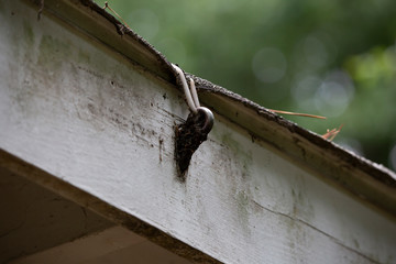 Roof Repairs Held In Place