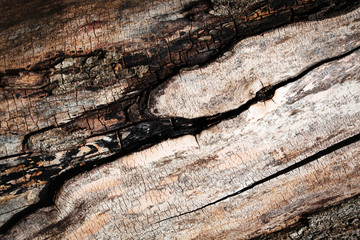 detail of old weathered wood surface