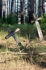 The old cemetery. Old wooden crosses in the cemetery.